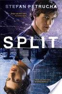 Pretty Little Liars 03: Perfect