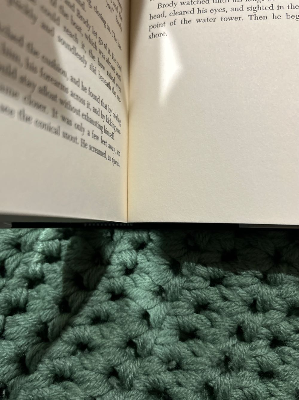 Jaws - Peter Benchley (A Doubleday & Company, Inc. - Hardcover) book collectible [Barcode 9781611297225] - Main Image 4