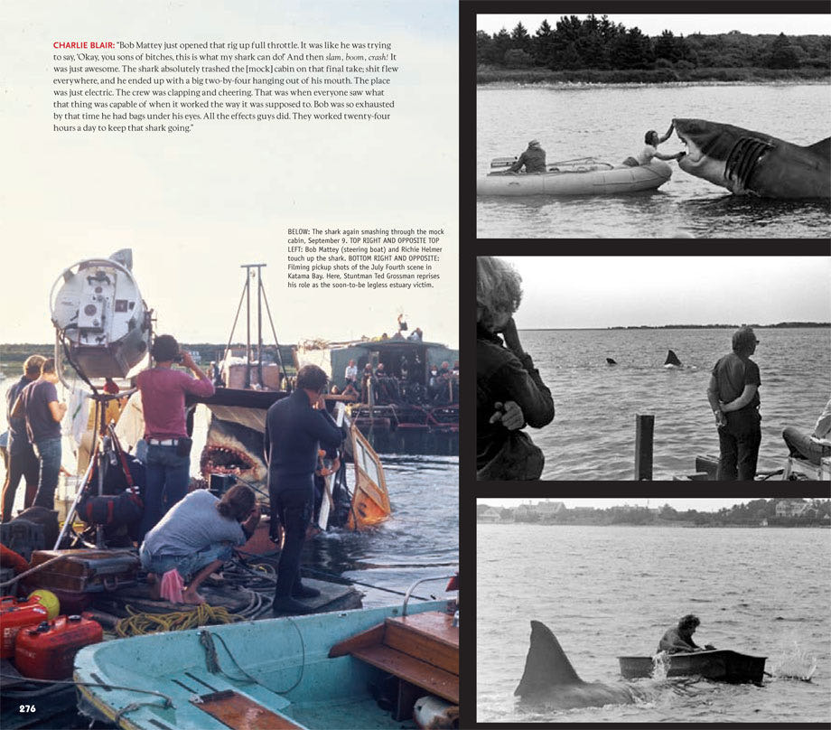 Jaws: Memories From Martha’s Cove - Peter Benchley (Titan Books (UK) - Paperback) book collectible [Barcode 9781781163023] - Main Image 4