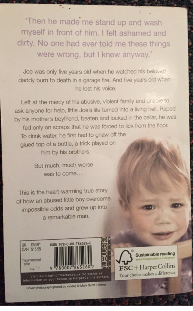 Cry Silent Tears  (Harper Element - Paperback) book collectible [Barcode 9780007865260] - Main Image 2