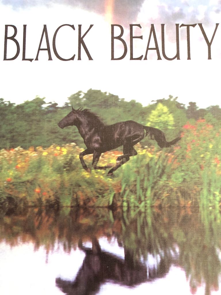 The Bourne Supremacy