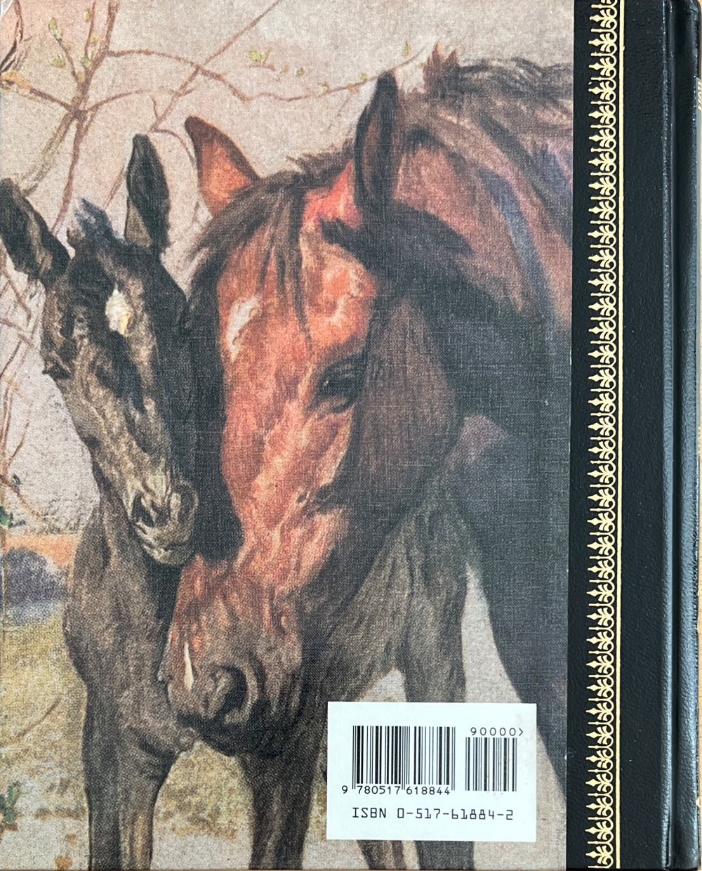 Black Beauty: Children’s Classics - Anna Sewell (Dilithium Press, Ltd - Hardcover) book collectible [Barcode 9780517618844] - Main Image 2