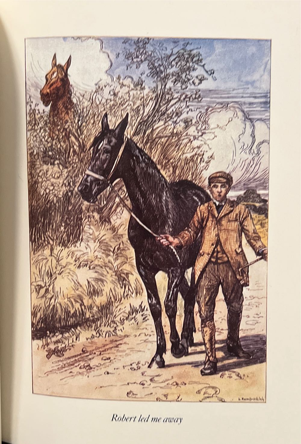 Black Beauty - Anna Sewell (Random House - Hardcover) book collectible [Barcode 9780679428114] - Main Image 2