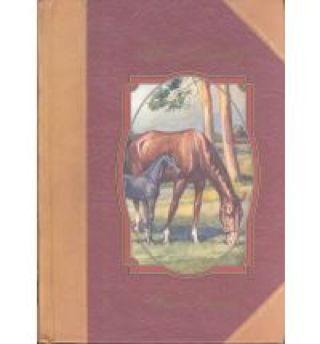 Black Beauty - Anna Sewell book collectible [Barcode 9780907785712] - Main Image 1
