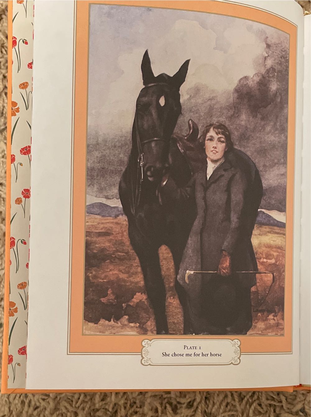 Black Beauty - Anna Sewell (Barnes & Noble, Inc. - Calf-Binding) book collectible [Barcode 9781435163744] - Main Image 3