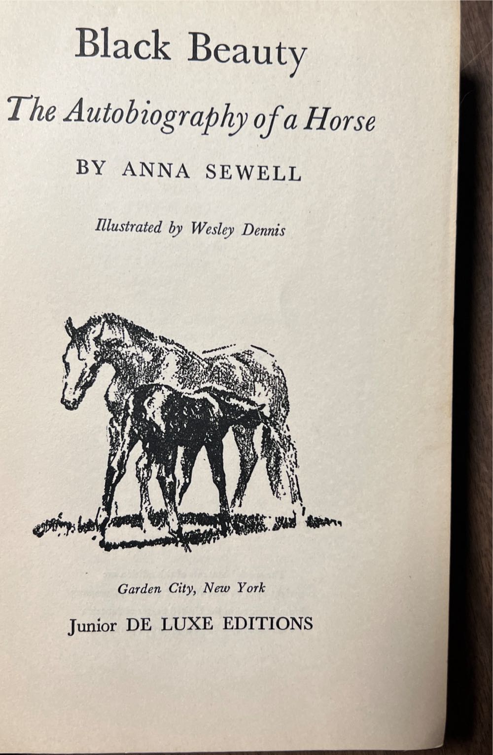 Black Beauty - Anna Sewell (Junior Delux Editions - Hardcover) book collectible - Main Image 2