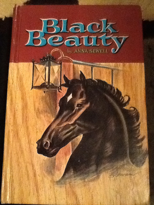 The Witch Of Portobello