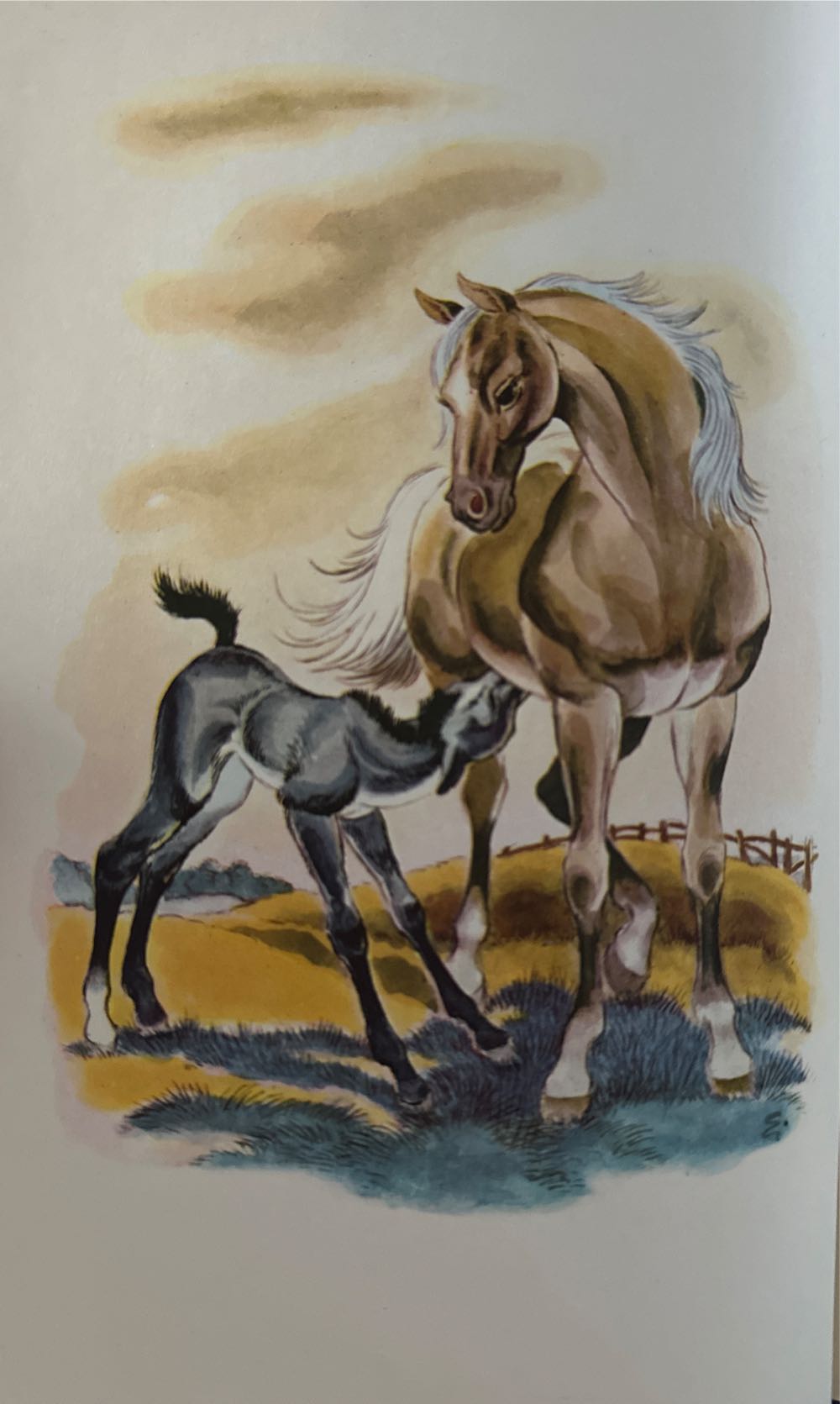 Black Beauty - Anna Sewell (Grossett & Dunlap - Hardcover) book collectible - Main Image 3