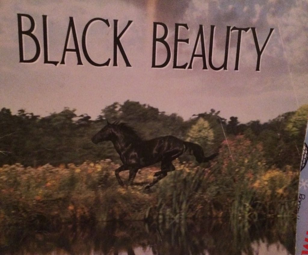 Polar Bears Past Bedtime