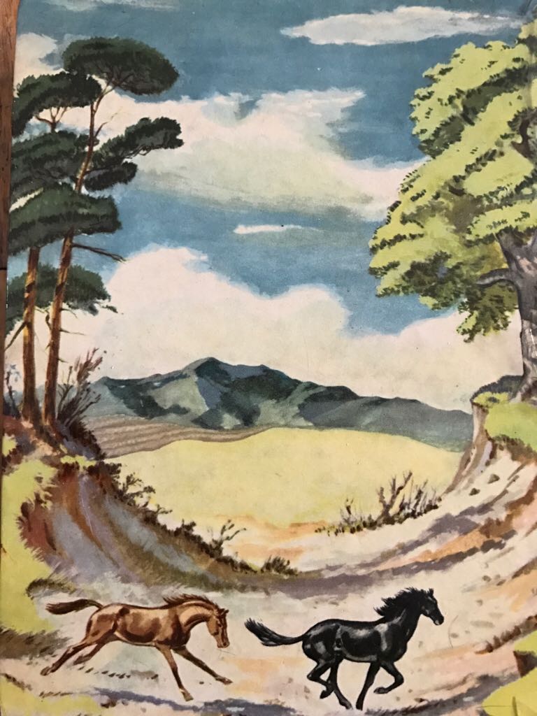 Black Beauty - Anna Sewell book collectible - Main Image 2