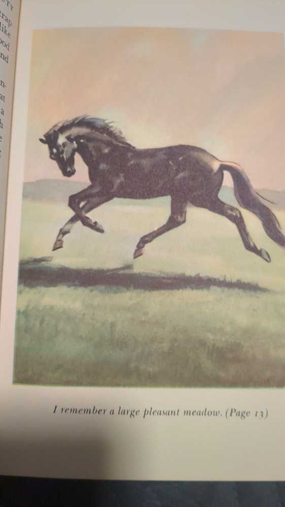 Black Beauty - Anna Sewell (The World Publishing Company) book collectible - Main Image 4