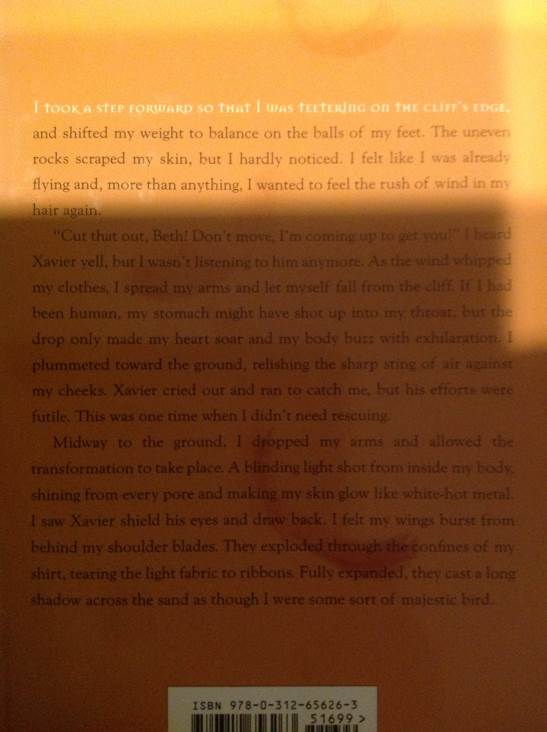 Halo - Alexandra Adornetto (Feiwel and Friends - Hardcover) book collectible [Barcode 9780312656263] - Main Image 2