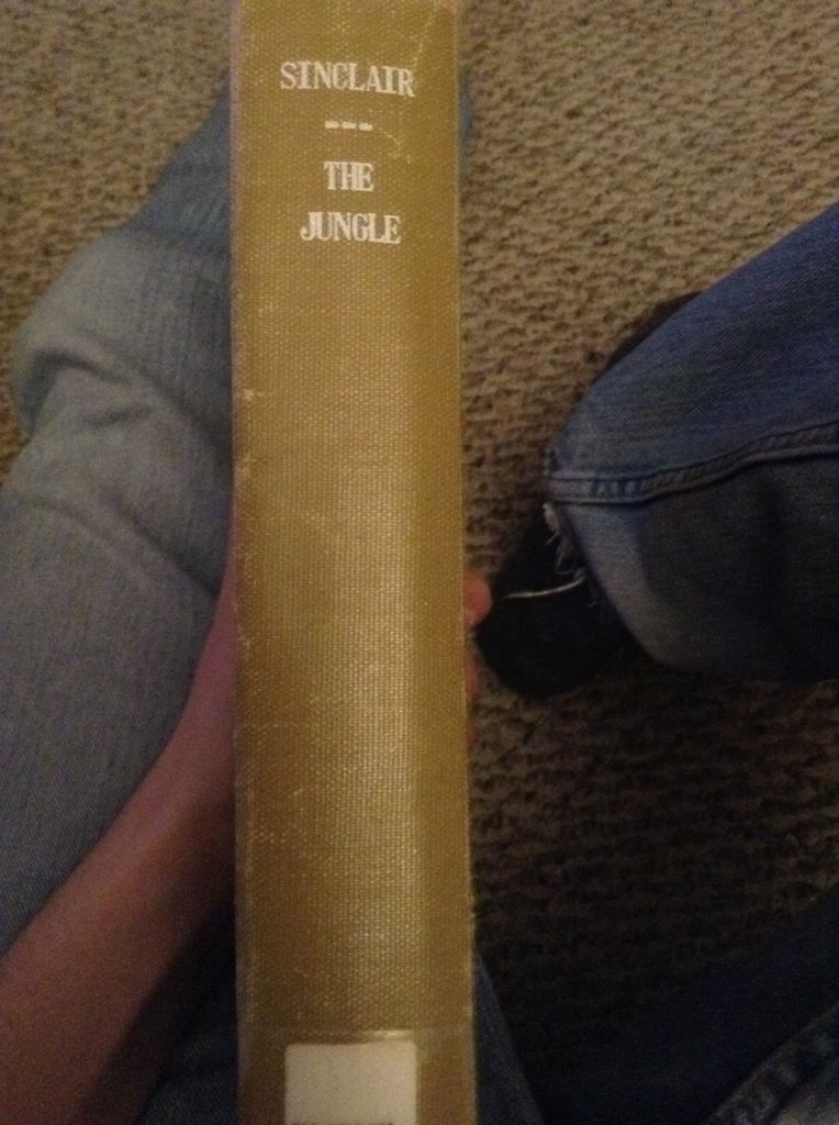 The Jungle - Clive Cussler (Putnam - Hardcover) book collectible [Barcode 9780399157042] - Main Image 2