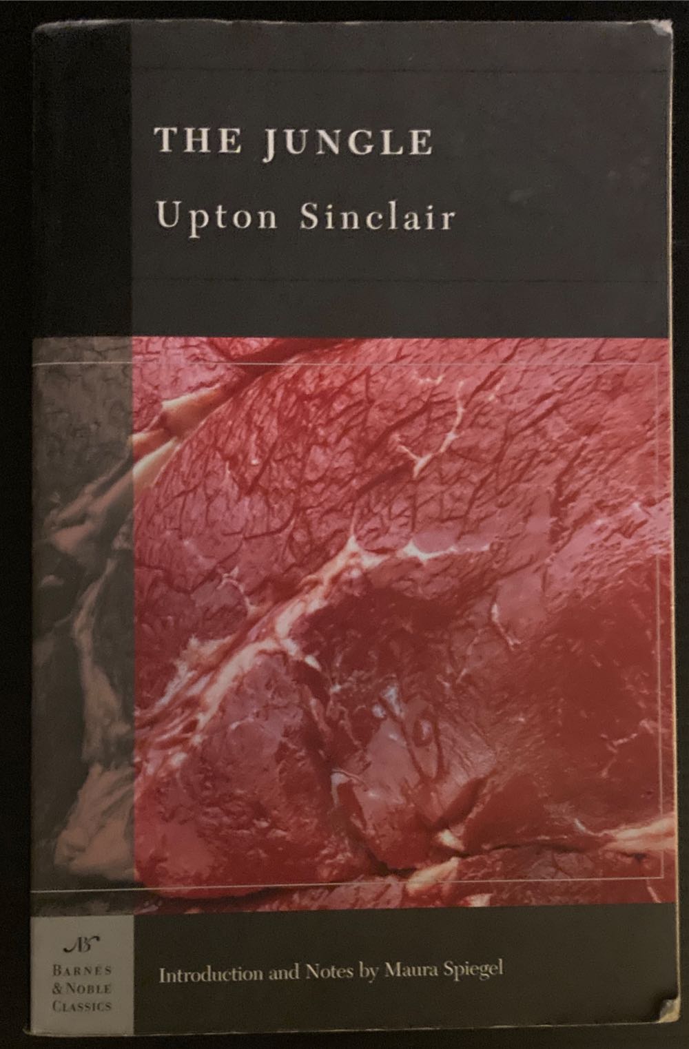 Jungle, The - Upton Sinclair (Barnes And Noble Classics - Paperback) book collectible [Barcode 9781593081188] - Main Image 3