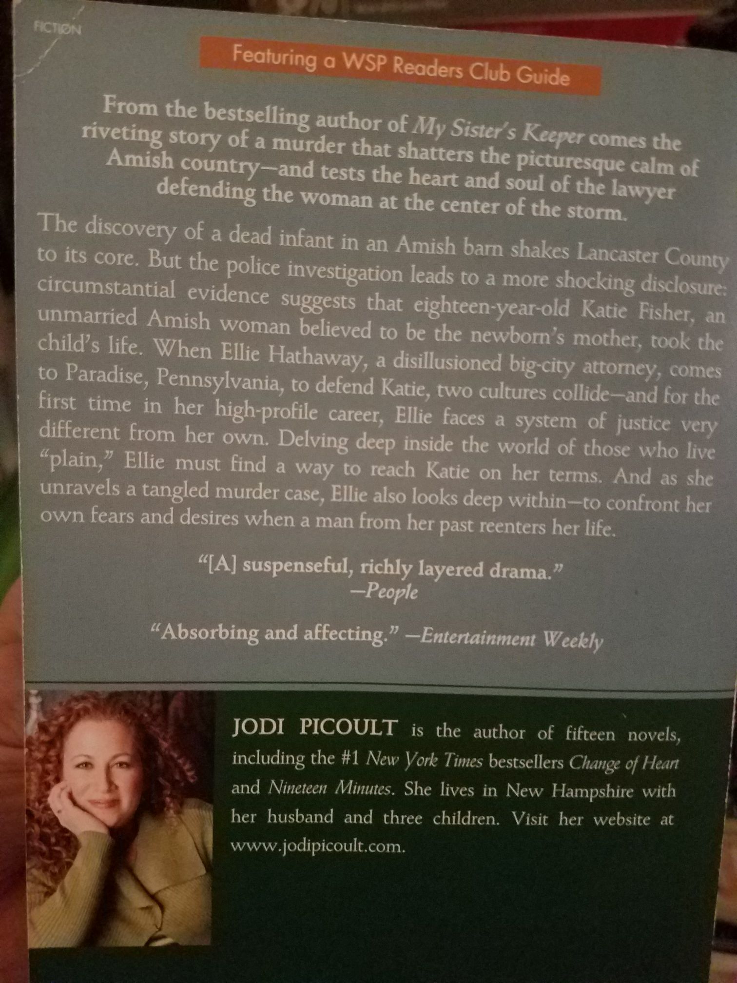 Plain Truth - Jodi Picoult (A Washington Square Press Book - Paperback) book collectible [Barcode 9781416547815] - Main Image 2