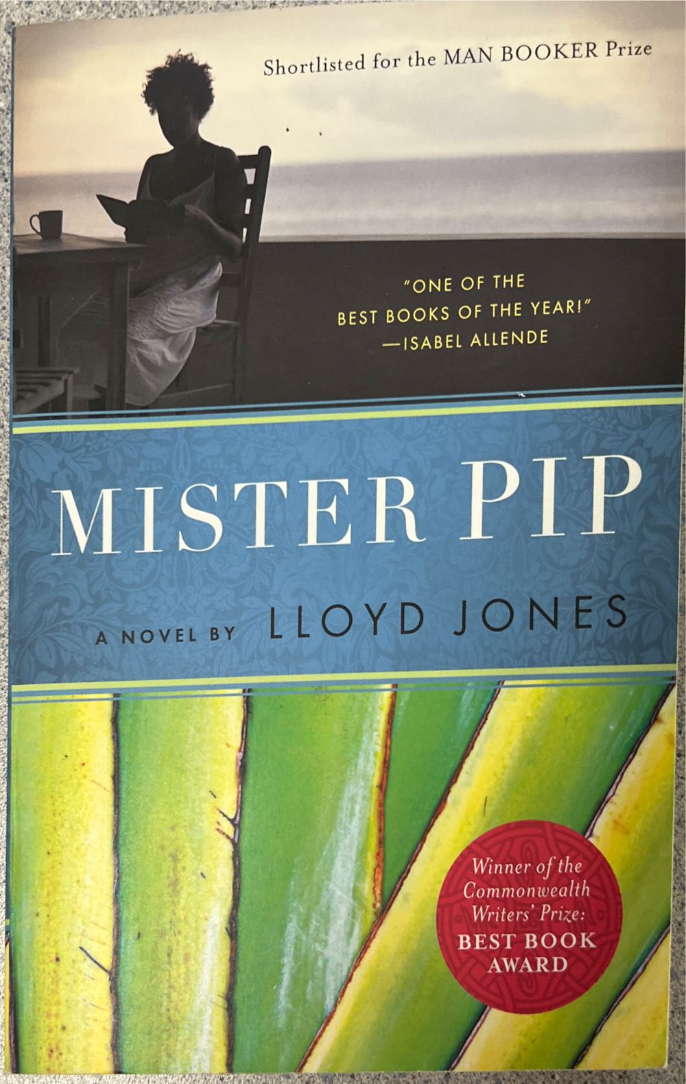 Mister Pip - Lloyd Jones (Random House of Canada - Paperback) book collectible [Barcode 9780676979282] - Main Image 2
