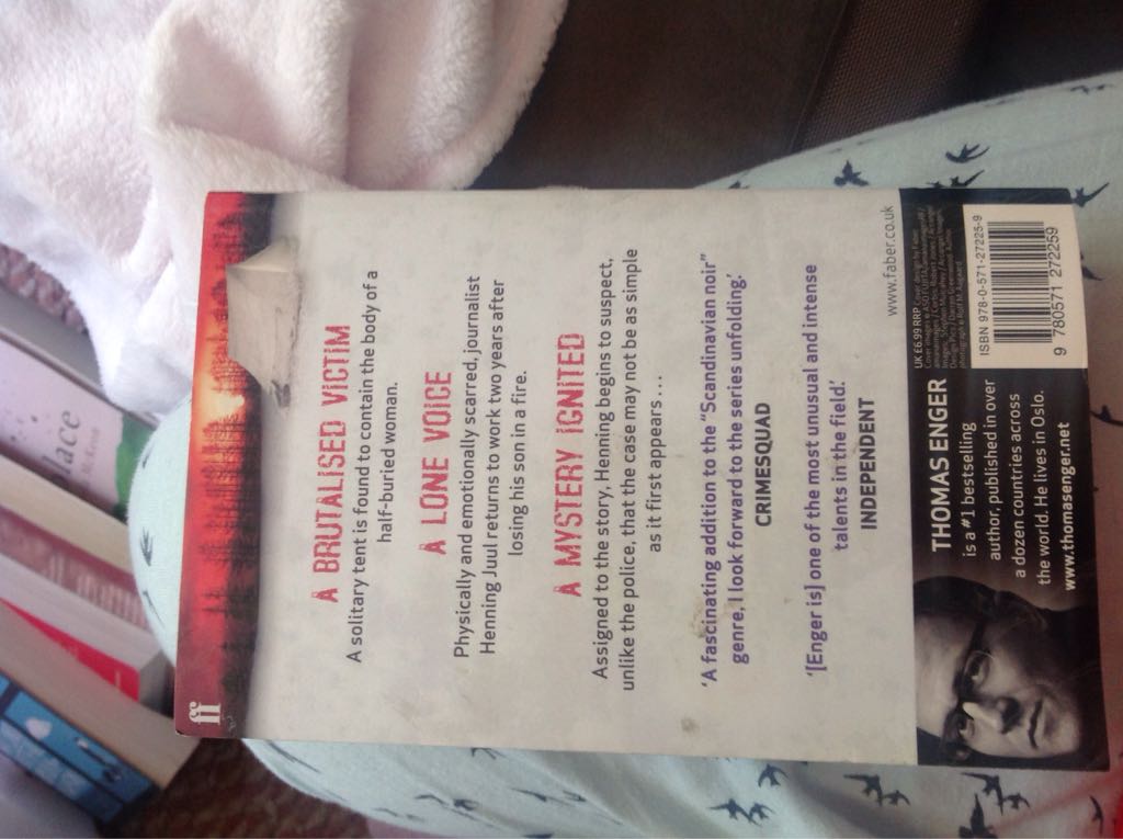 Burned - Kristin & (Faber & Faber - Paperback) book collectible [Barcode 9780571272259] - Main Image 2