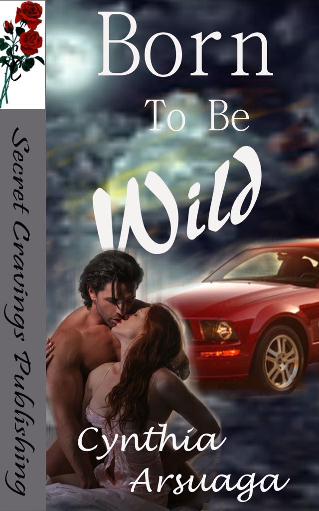 Lord Of The Rings The Fellowship of the Ring