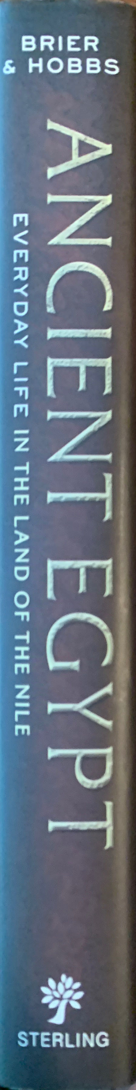 Ancient Egypt - Giorgio Agnese (Sterling - Hardcover) book collectible [Barcode 9781454909071] - Main Image 3