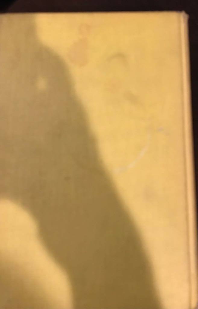 Tidal Wave - Christopher Lampton (Doubleday &  Company Inc.) book collectible - Main Image 2