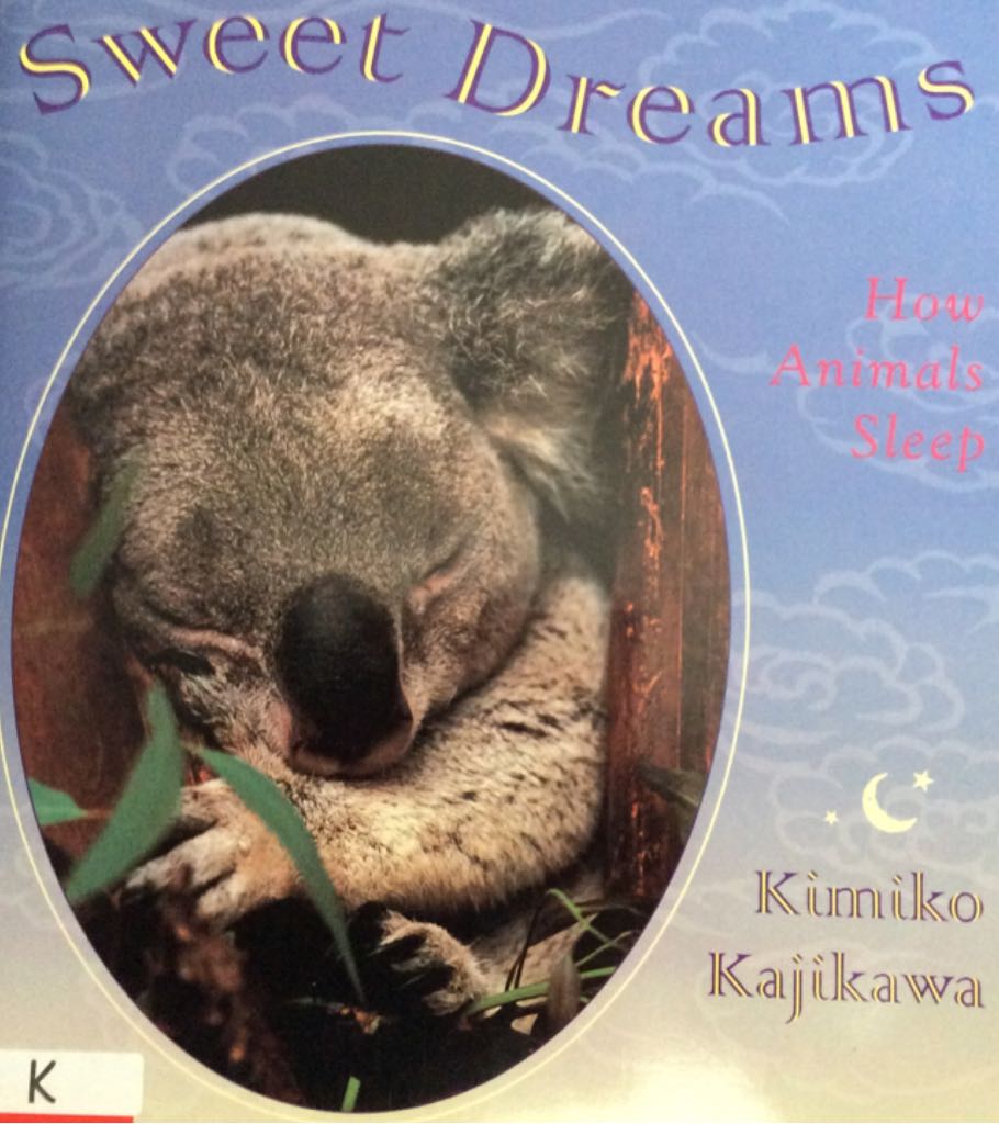 Image 3551974