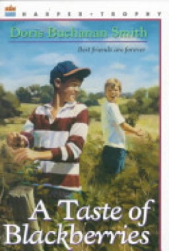 A Taste Of Blackberries - Doris Buchanan Smith (Scholastic Book Services) book collectible [Barcode 9780064402385] - Main Image 1