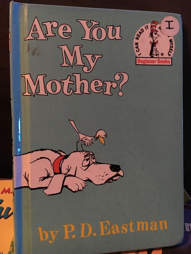 Paddington and the Christmas Suprise