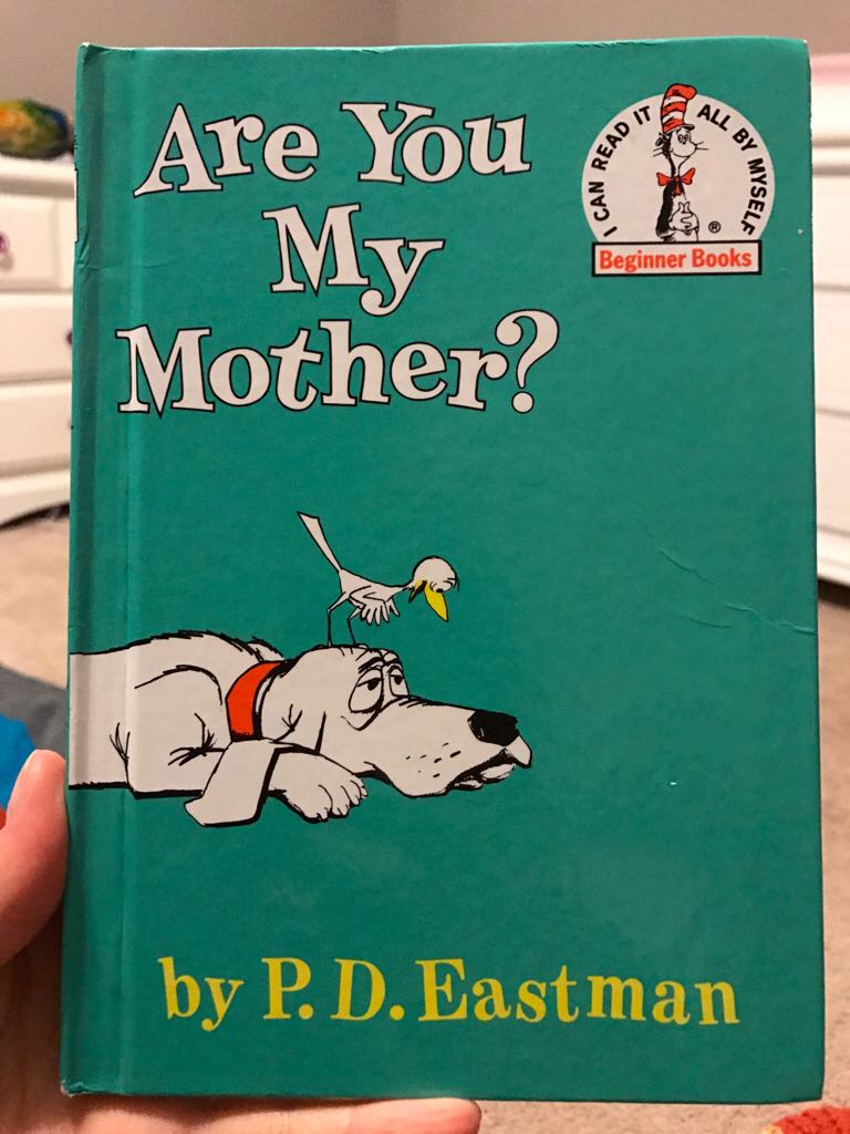 The Rebel Bride-discarded