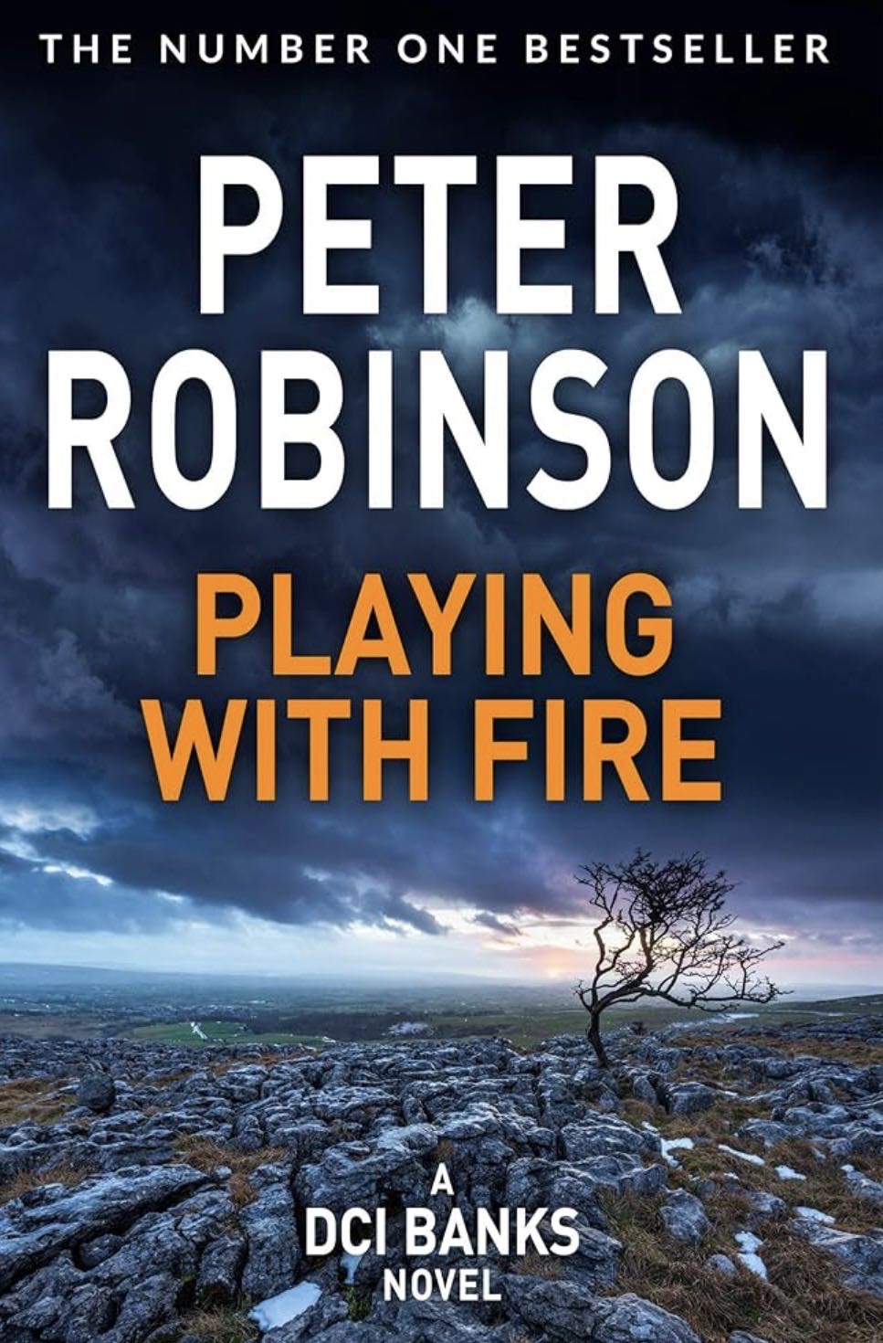 DCI Banks 14: Playing With Fire - Peter Robinson (Wm Morrow - eBook) book collectible [Barcode 9780060198770] - Main Image 2