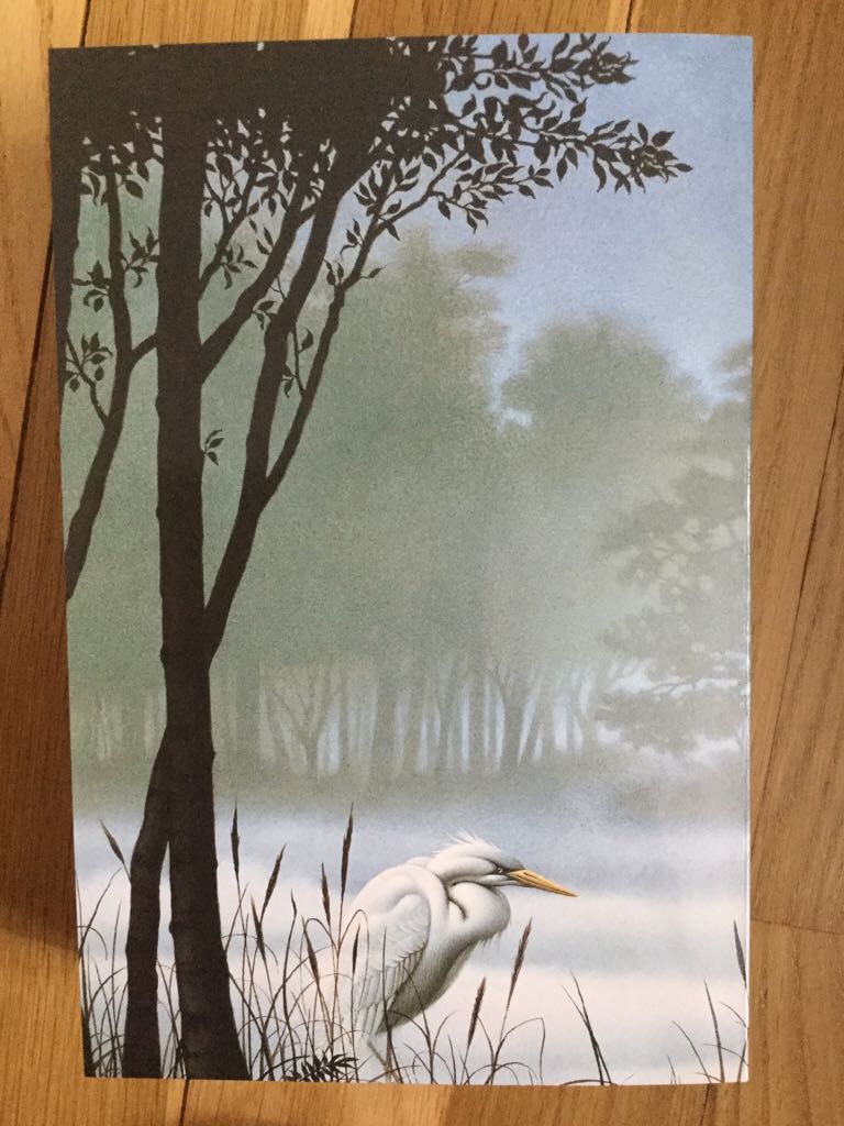 Die Nebel von Avalon - Marion Zimmer Bradley (Fischer - Paperback) book collectible [Barcode 9783596282227] - Main Image 2