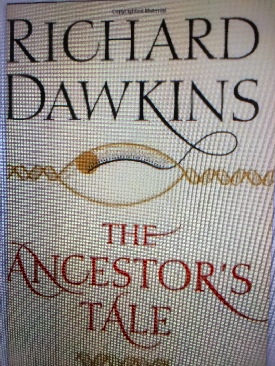 White Witch, Black Curse