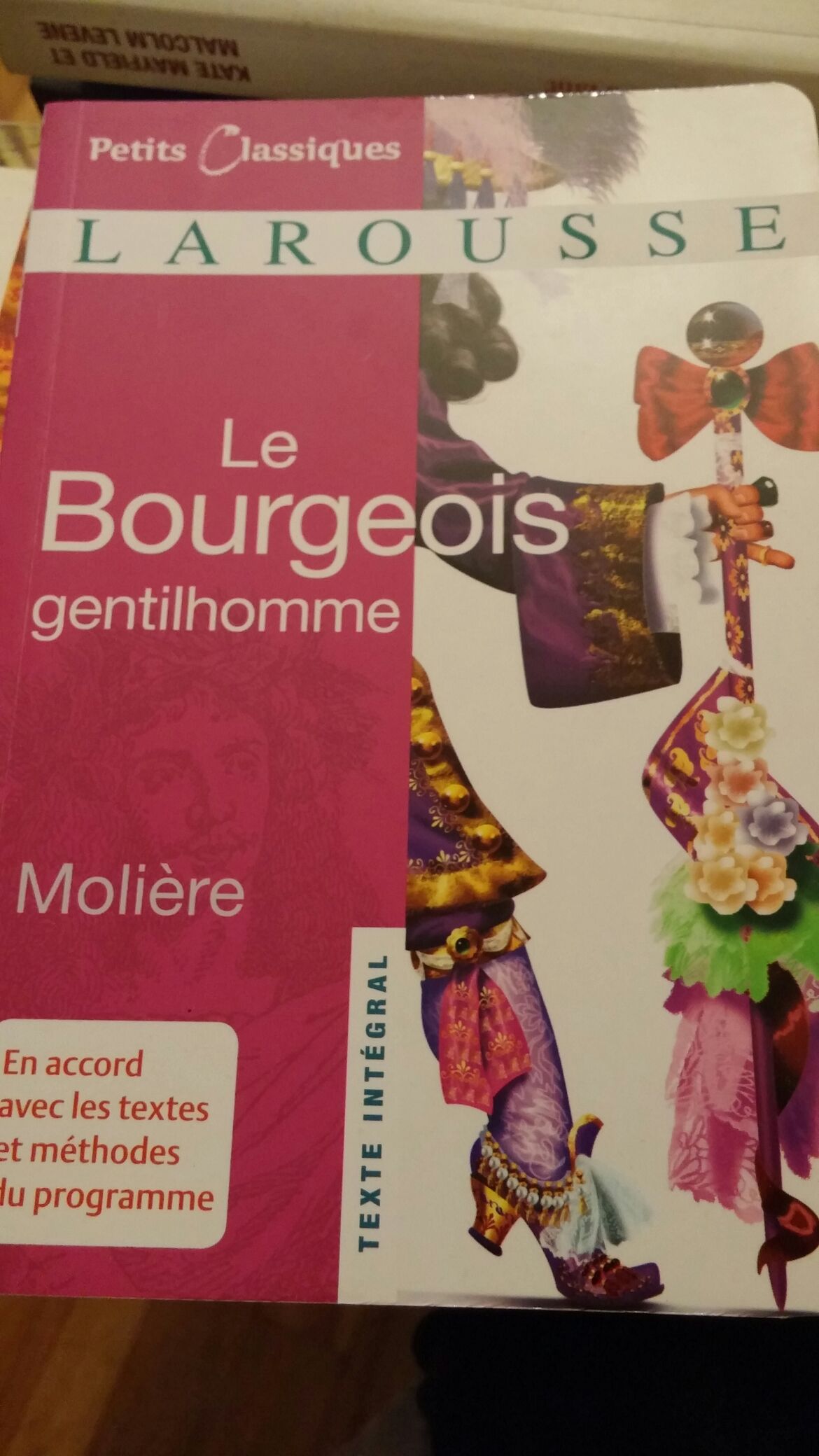 Year Of The Flood, The