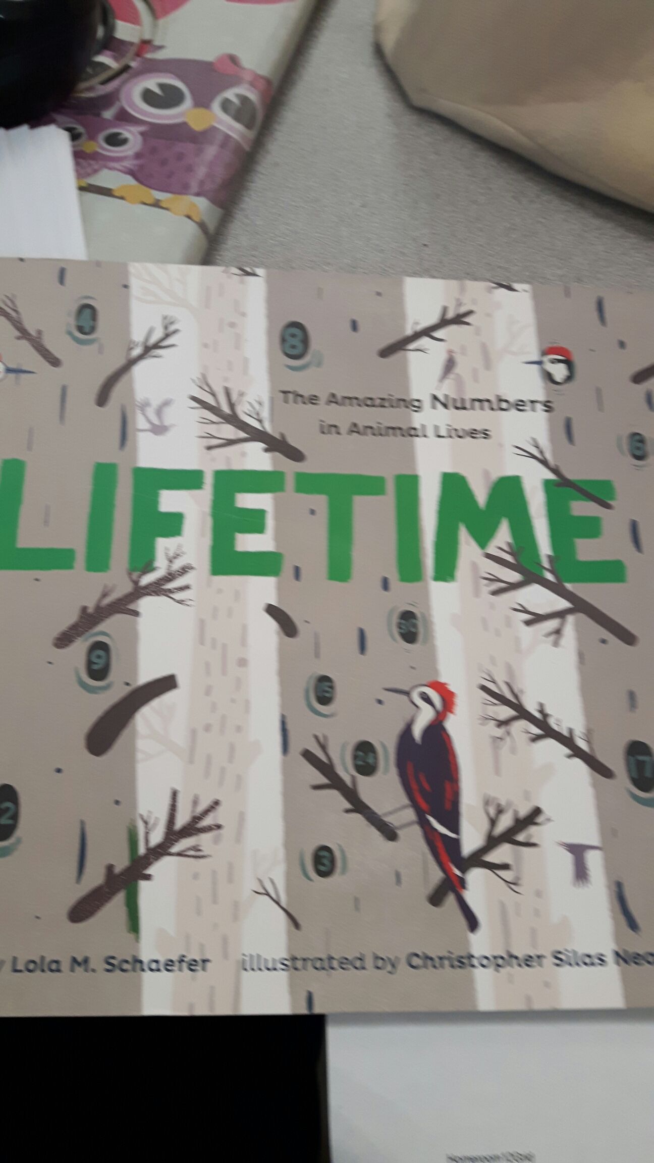 LOTR: 1: The Fellowship of The Ring