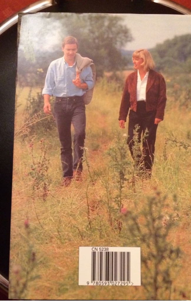 Some Other Rainbow - Jill Morrell (BCA - Hardcover) book collectible [Barcode 9780593027295] - Main Image 2