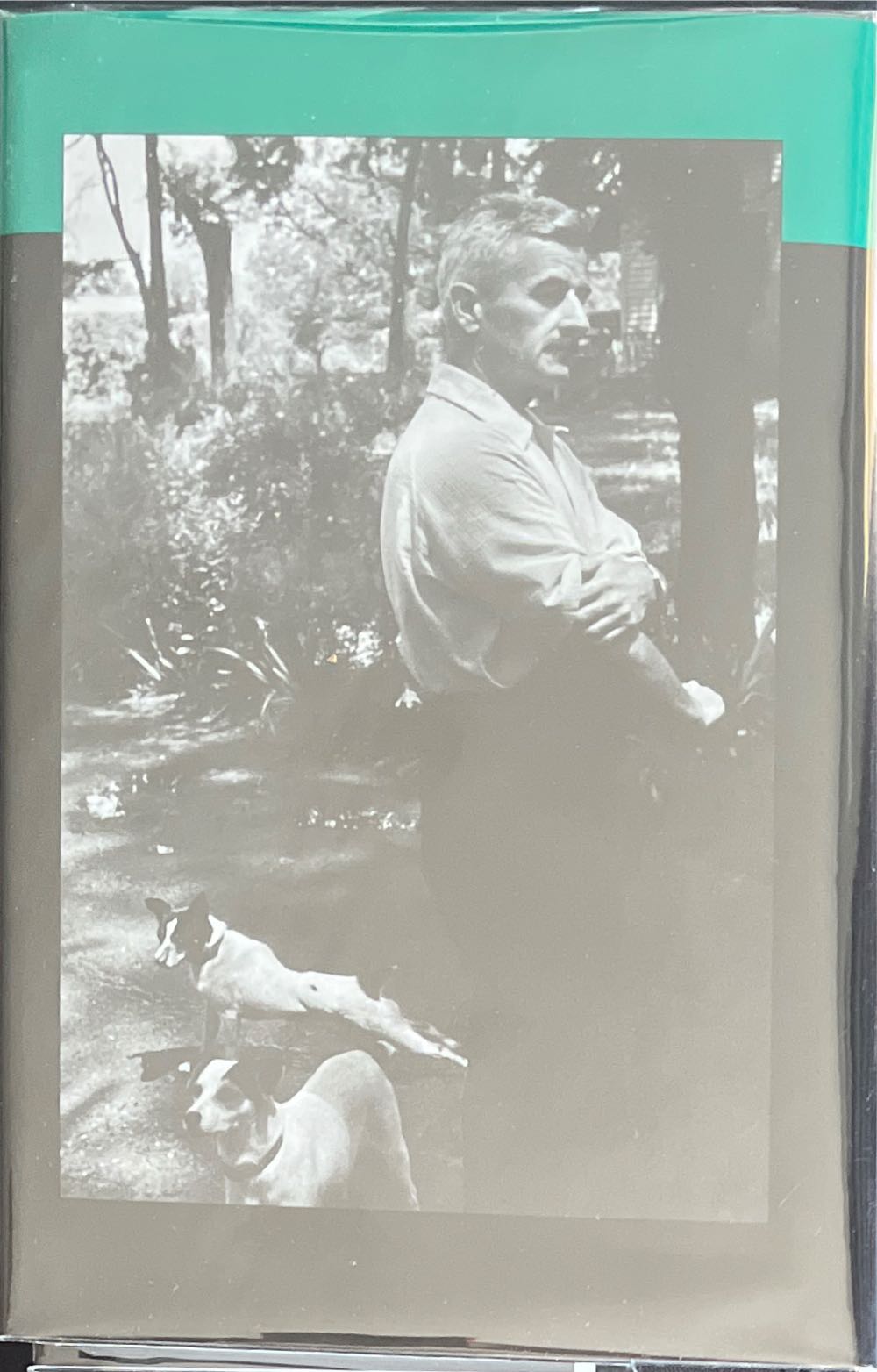 The Sound And The Fury - William Faulkner (Book of The Month Club - Hardcover) book collectible - Main Image 2