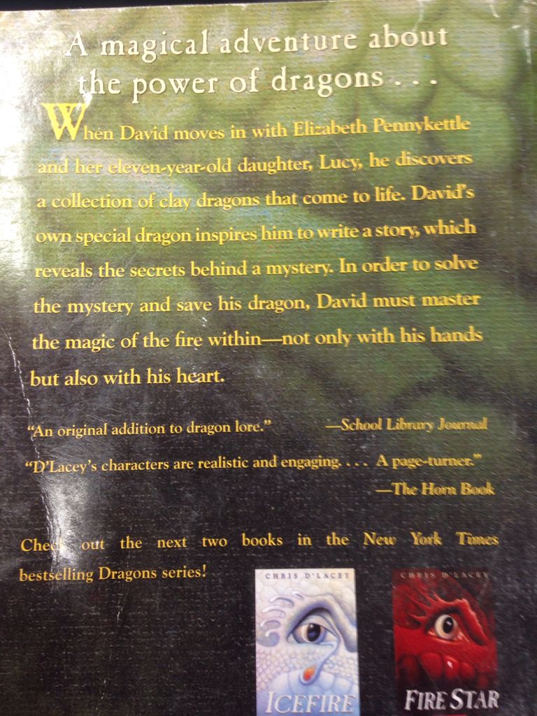 The Fire Within - Chris D’Lacey (Scholastic - Paperback) book collectible [Barcode 9780439672443] - Main Image 2