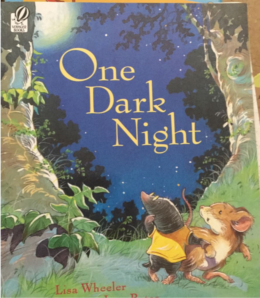 The Post-Birthday World