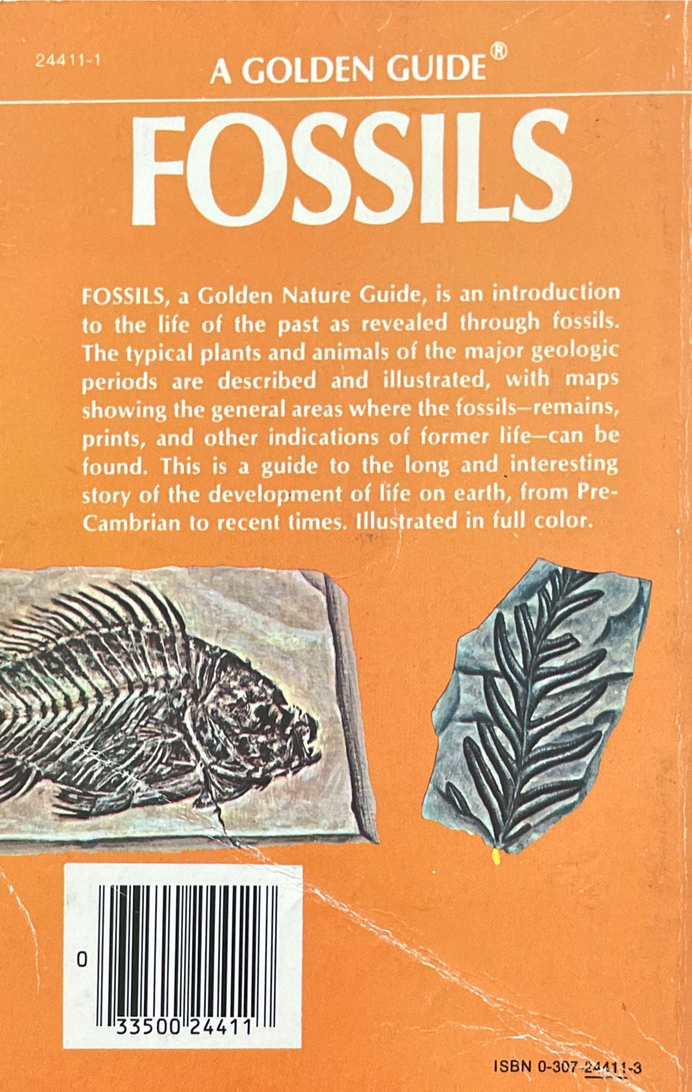 Fossils - mark lambert (Golden Guides from Saint Martin’s Press) book collectible [Barcode 9780307244116] - Main Image 2