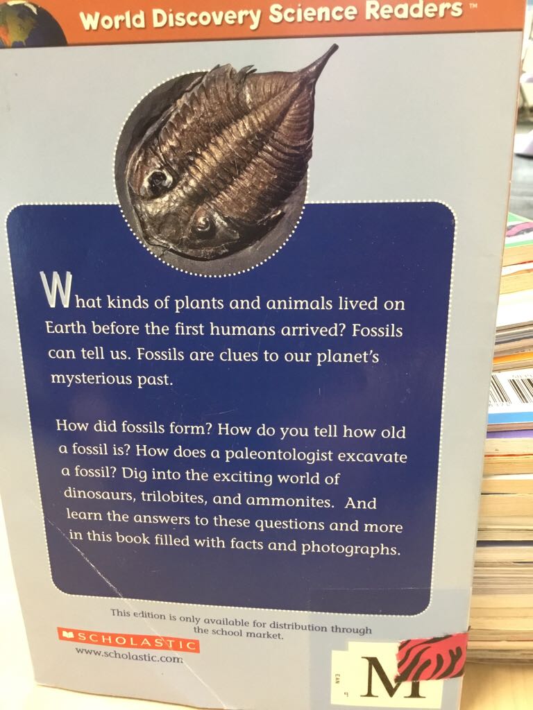 Fossils - June Edelstein book collectible [Barcode 9780439676489] - Main Image 2