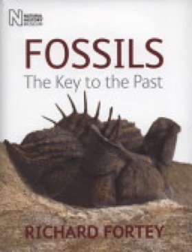 Fossils