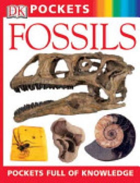Fossils - June Edelstein (DK Publishing (Dorling Kindersley)) book collectible [Barcode 9780756602062] - Main Image 1