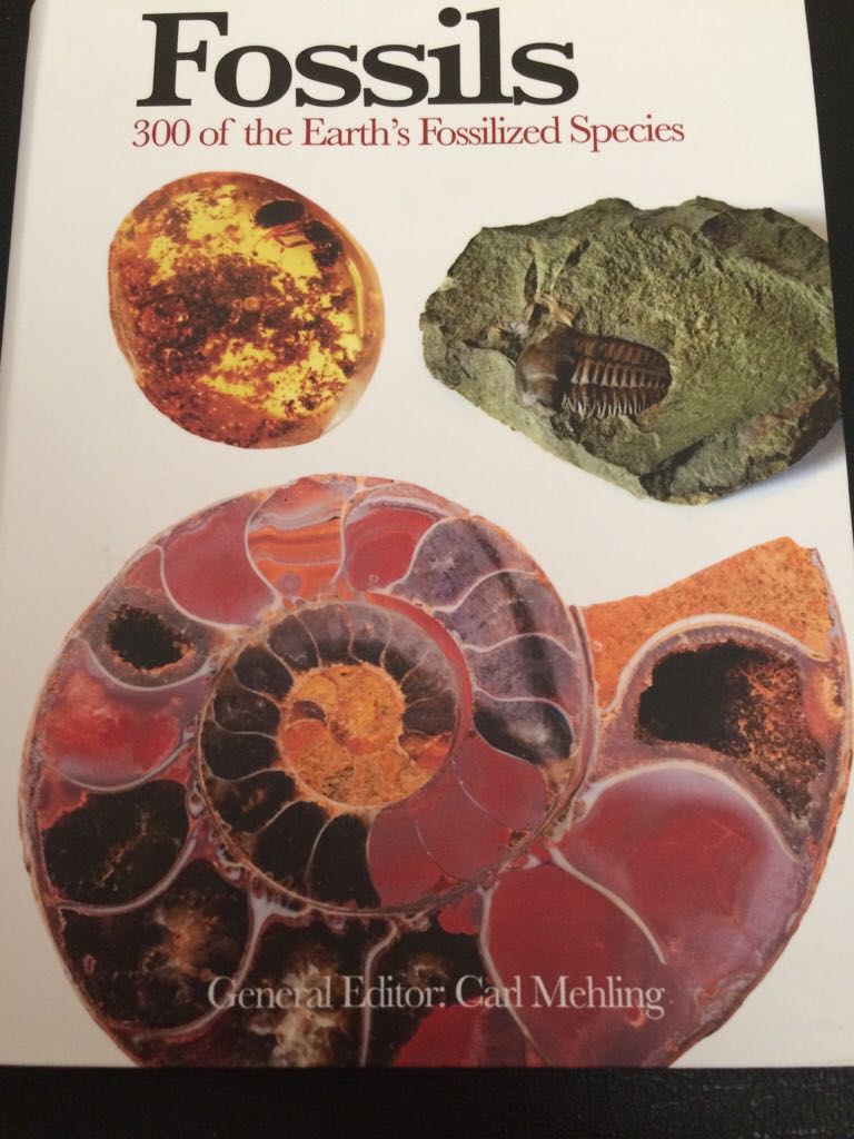 Guinness World Records 2006