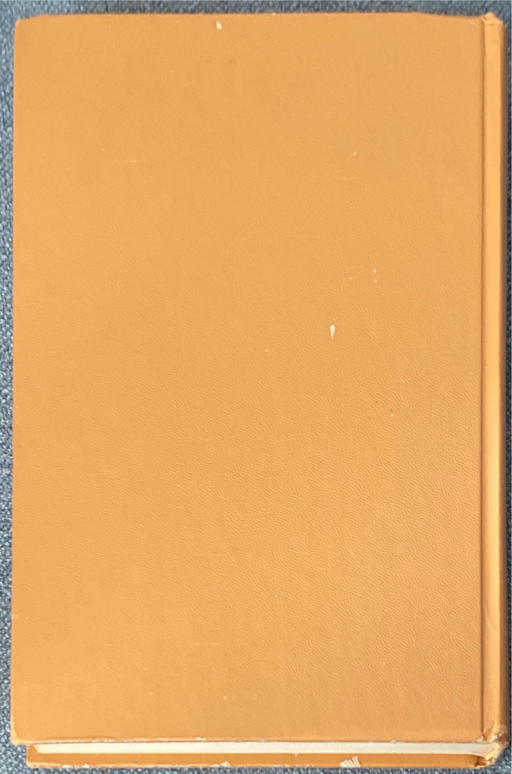 Robinson Crusoe - Daniel Defoe (Doubleday And Company - Hardcover) book collectible - Main Image 2