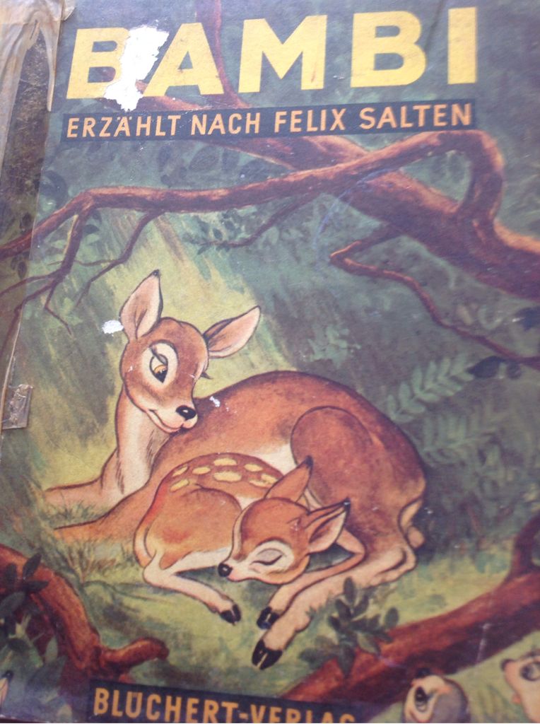 Image 3559233