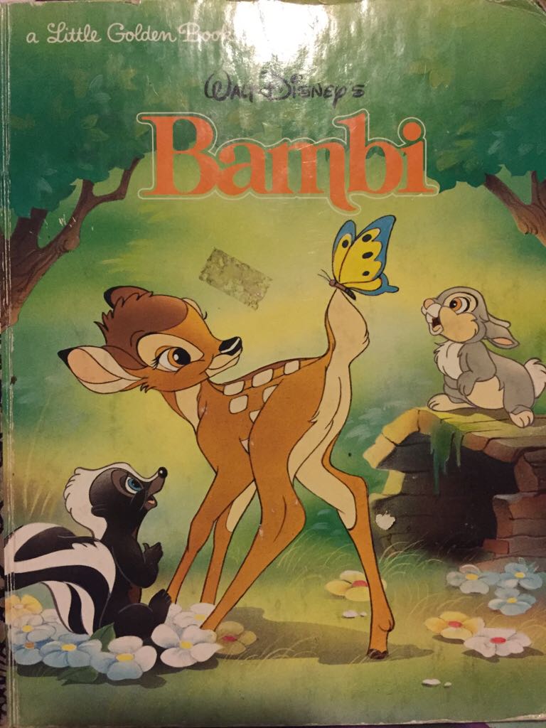 A Thousand Splendid Suns