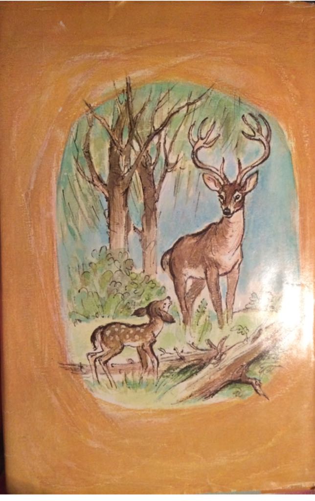 Bambi - Felix Salten (Hardcover) book collectible - Main Image 2