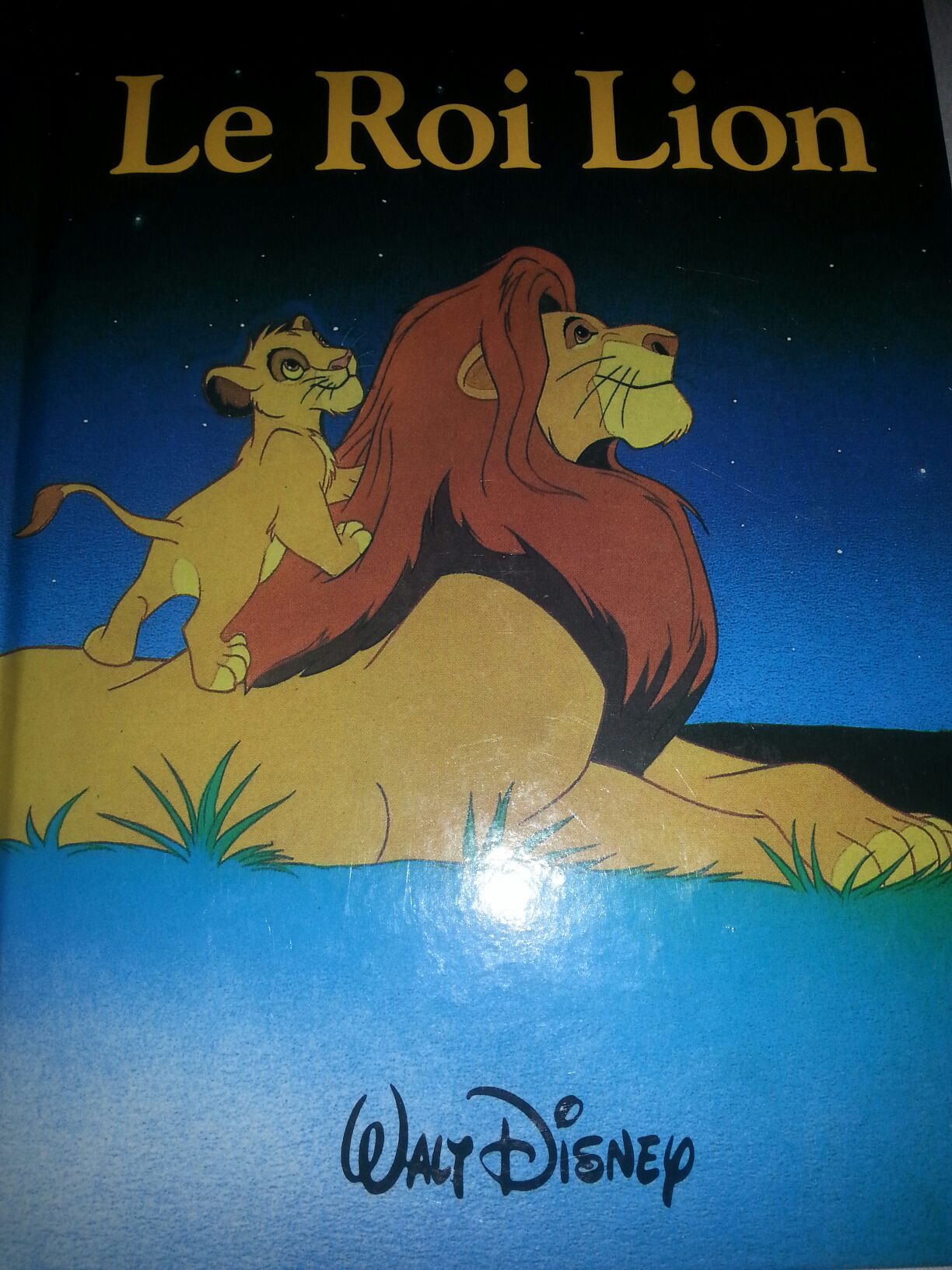 An Abundance Of Katherines