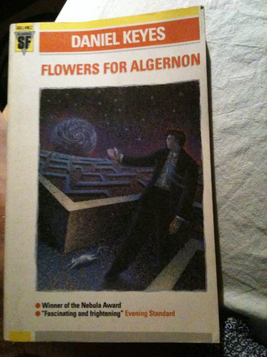 Journal Insomniaque DUne Femme De Ronfleur 01