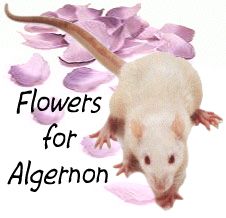 Image 3560679