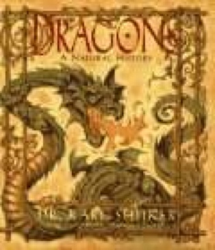 Dragons - Cory Godbey (Barnes - Hardcover) book collectible [Barcode 9780760745519] - Main Image 1